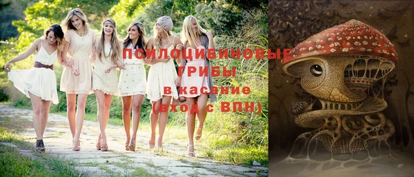 ECSTASY Кодинск