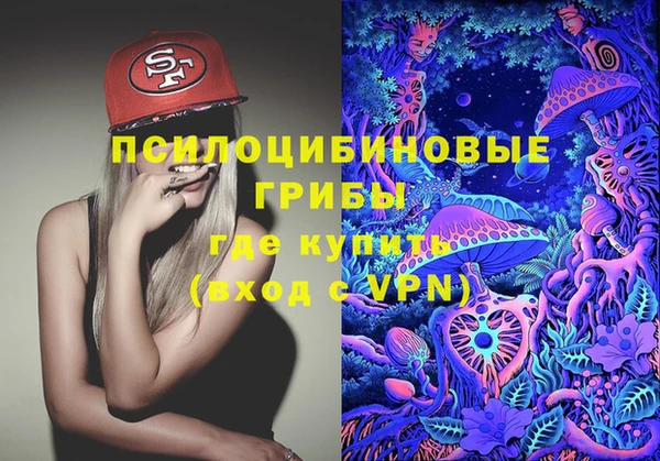 ECSTASY Кодинск