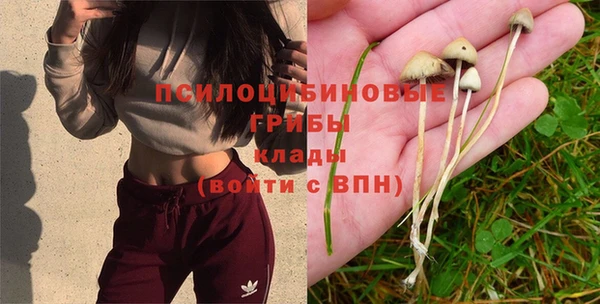 ECSTASY Кодинск