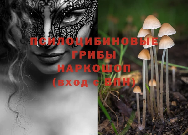 ECSTASY Кодинск