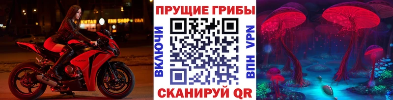 Галлюциногенные грибы ЛСД  Купить  Светлогорск 